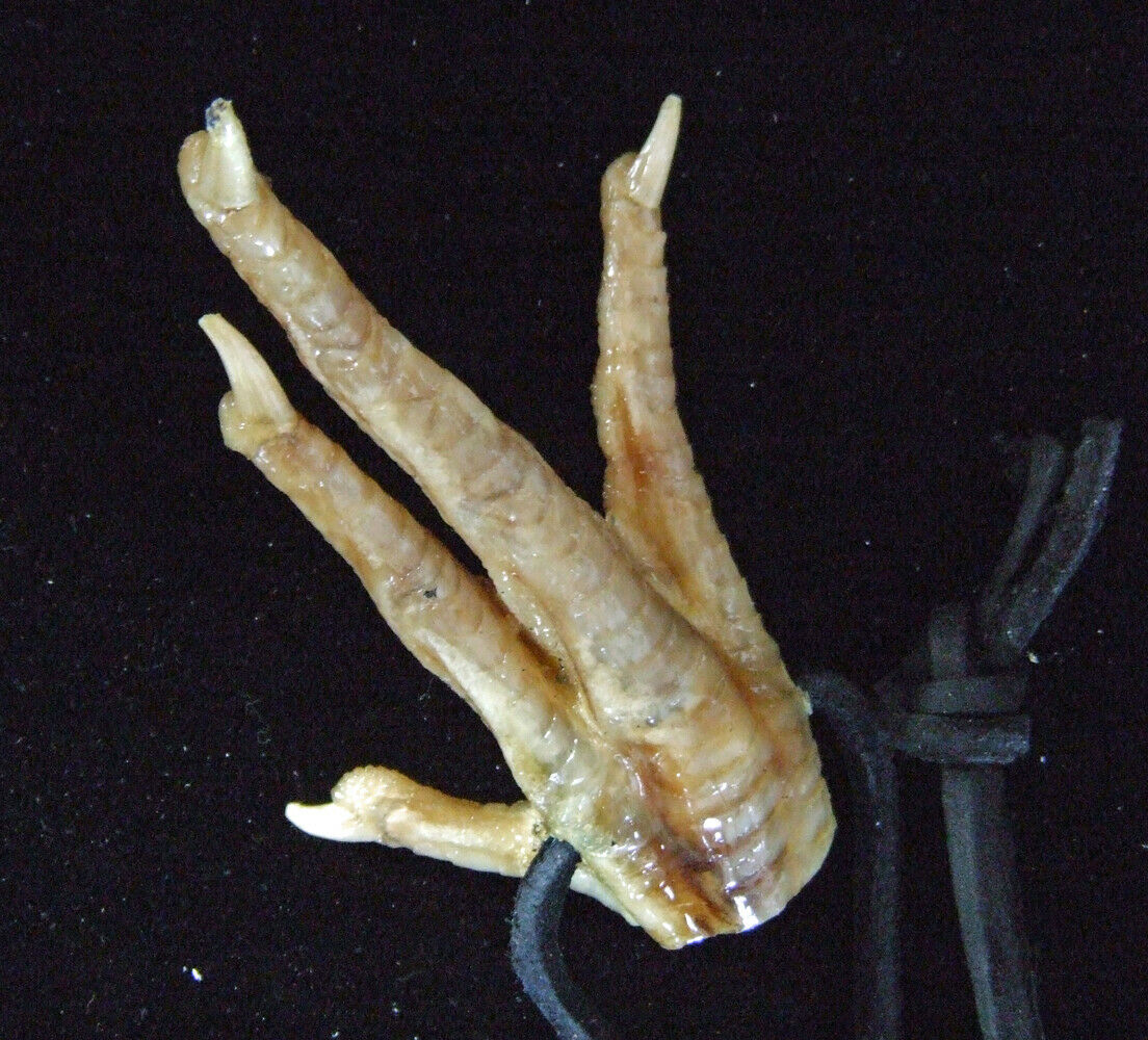 Voodoo Chicken Foot Necklace New Orleans Louisiana Cajun Magic Curse Santeria